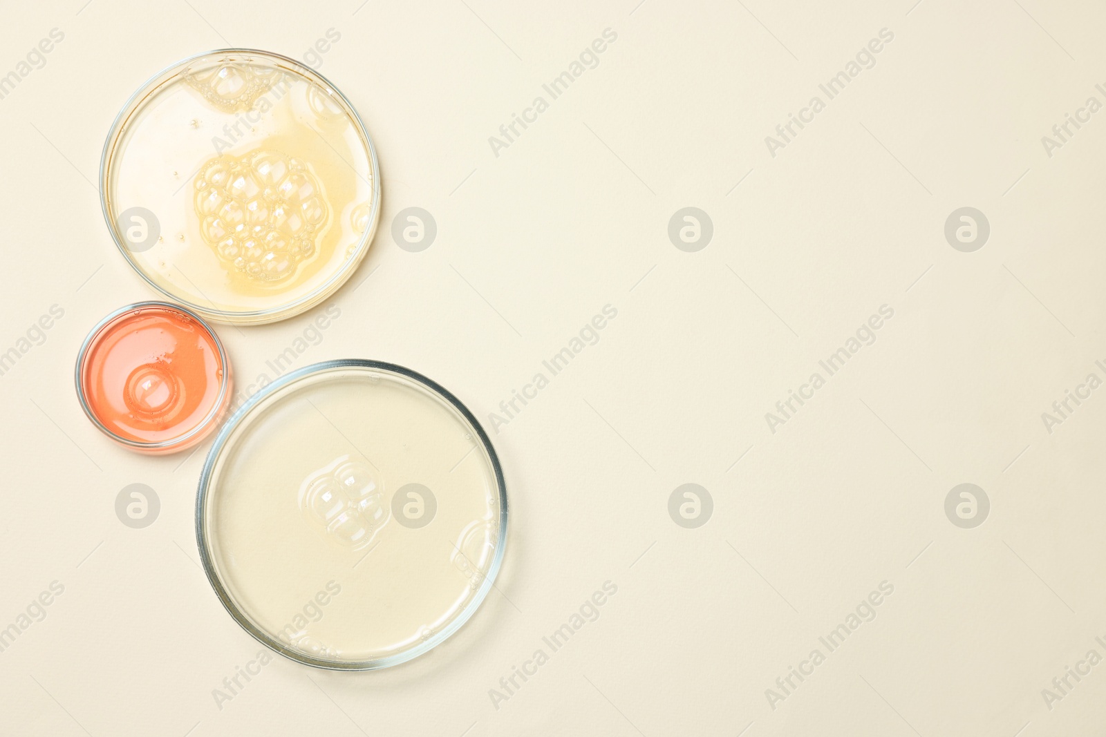 Photo of Petri dishes with samples on beige background, top view. Space for text