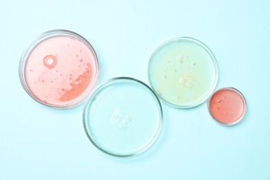 Photo of Petri dishes with samples on light blue background, top view