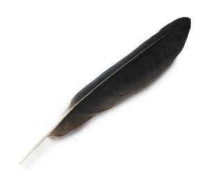 Photo of Beautiful black bird feather isolated on white, top view