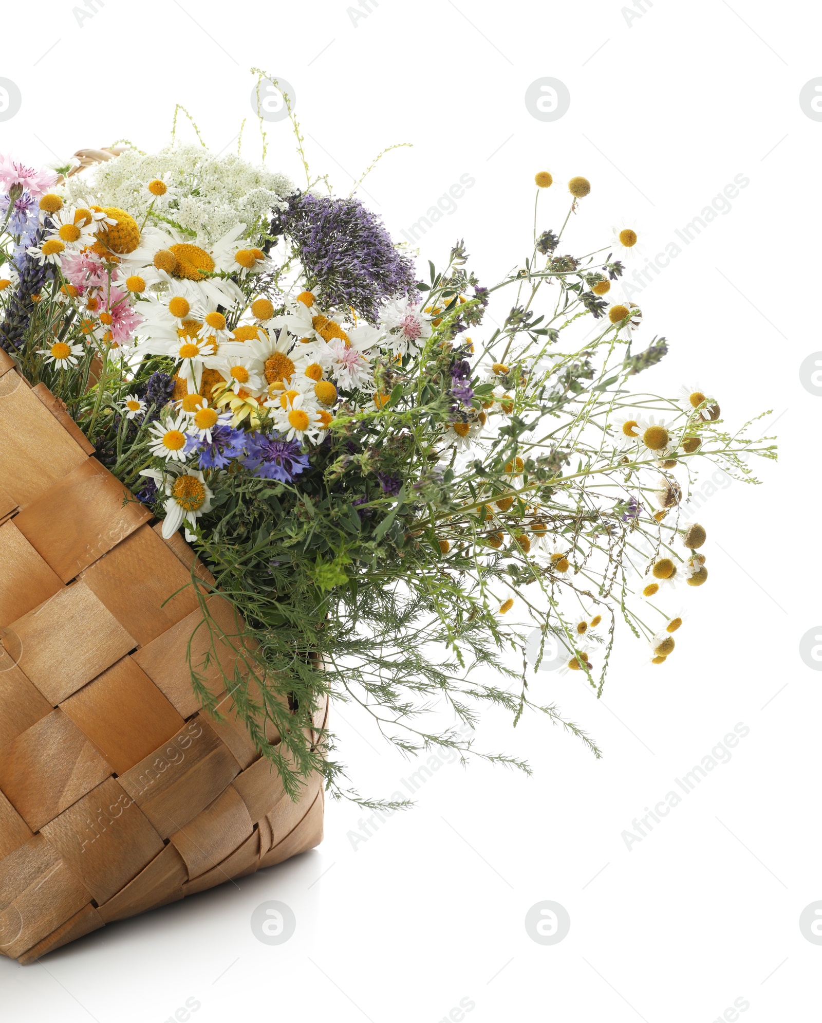 Photo of Beautiful wildflowers in bag isolated on white