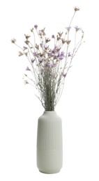 Beautiful wildflowers in vase isolated on white