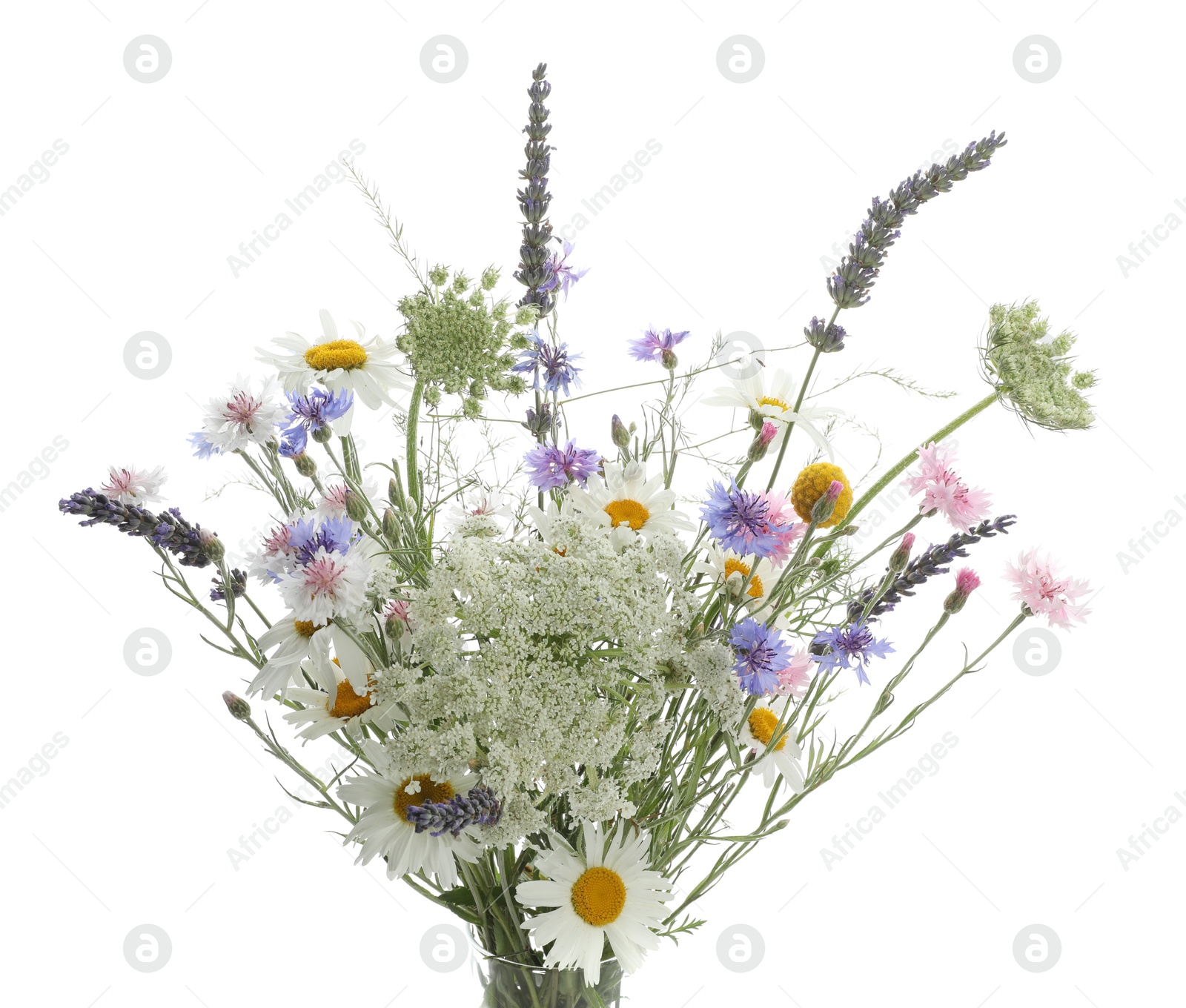 Photo of Bouquet of beautiful wildflowers isolated on white