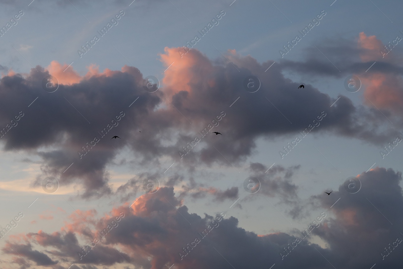 Photo of Beautiful view of blue sky with fluffy clouds