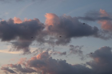 Photo of Beautiful view of blue sky with fluffy clouds