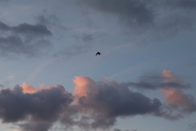 Photo of Beautiful view of blue sky with fluffy clouds