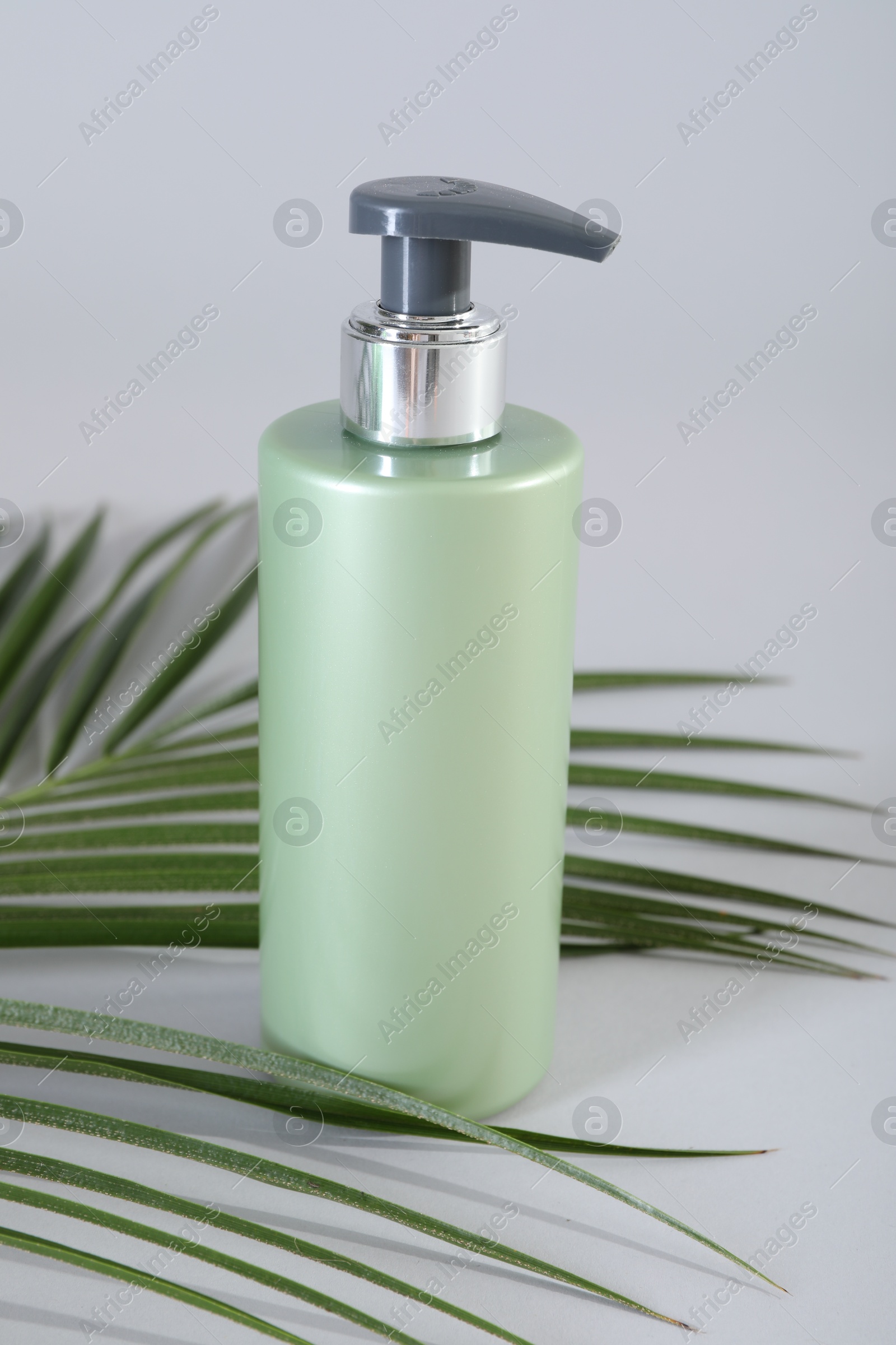 Photo of Bottle of shampoo and palm leaf on light background