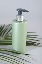 Bottle of shampoo and palm leaf on light background