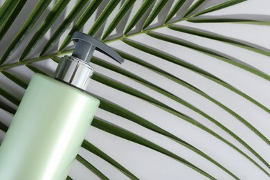 Photo of Bottle of shampoo and palm leaf on light background, top view