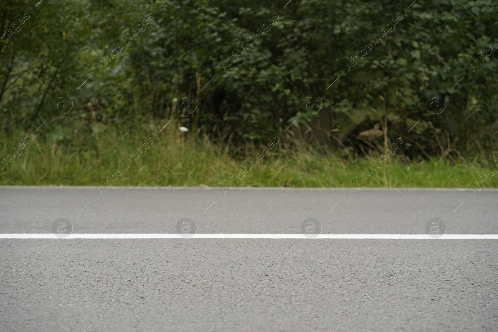 Photo of Empty asphalt road going through green forest