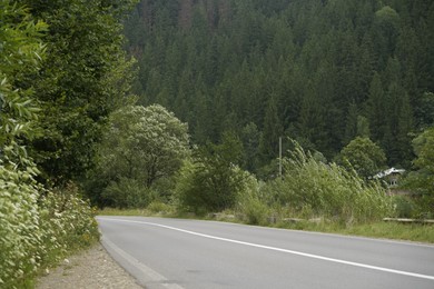 Photo of Empty asphalt road going through green forest