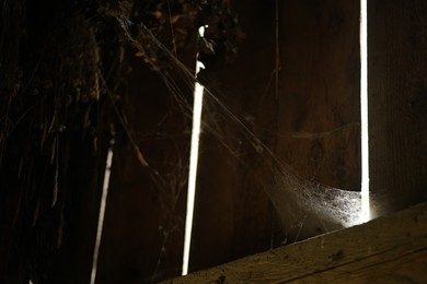 Photo of Cobweb and dry herbs in old wooden barn, closeup