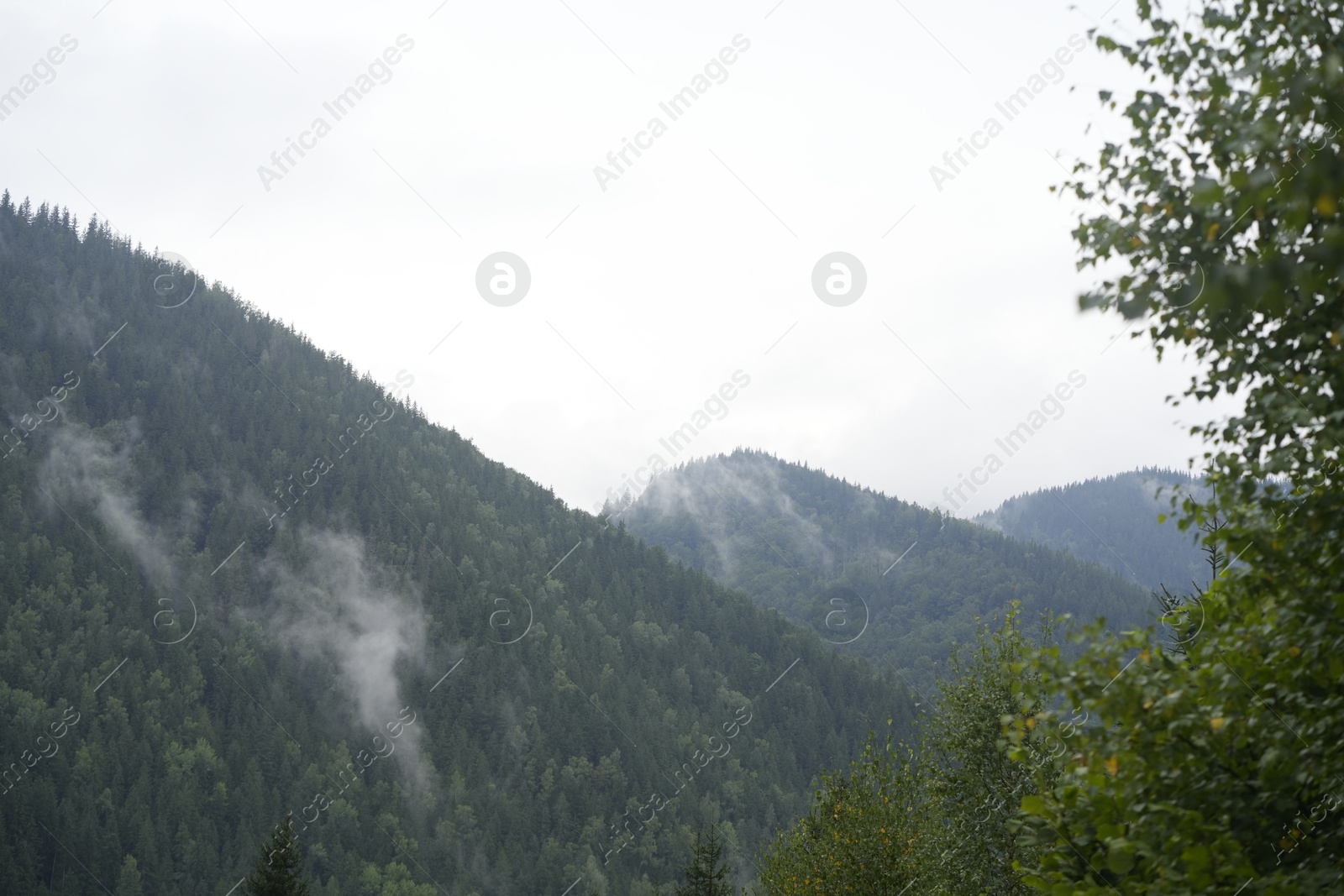 Photo of Beautiful view of forest in mountains under sky