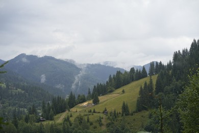 Photo of Beautiful view of forest in mountains under sky