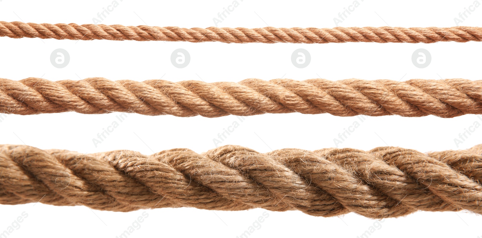 Image of Ropes of different thickness isolated on white, set