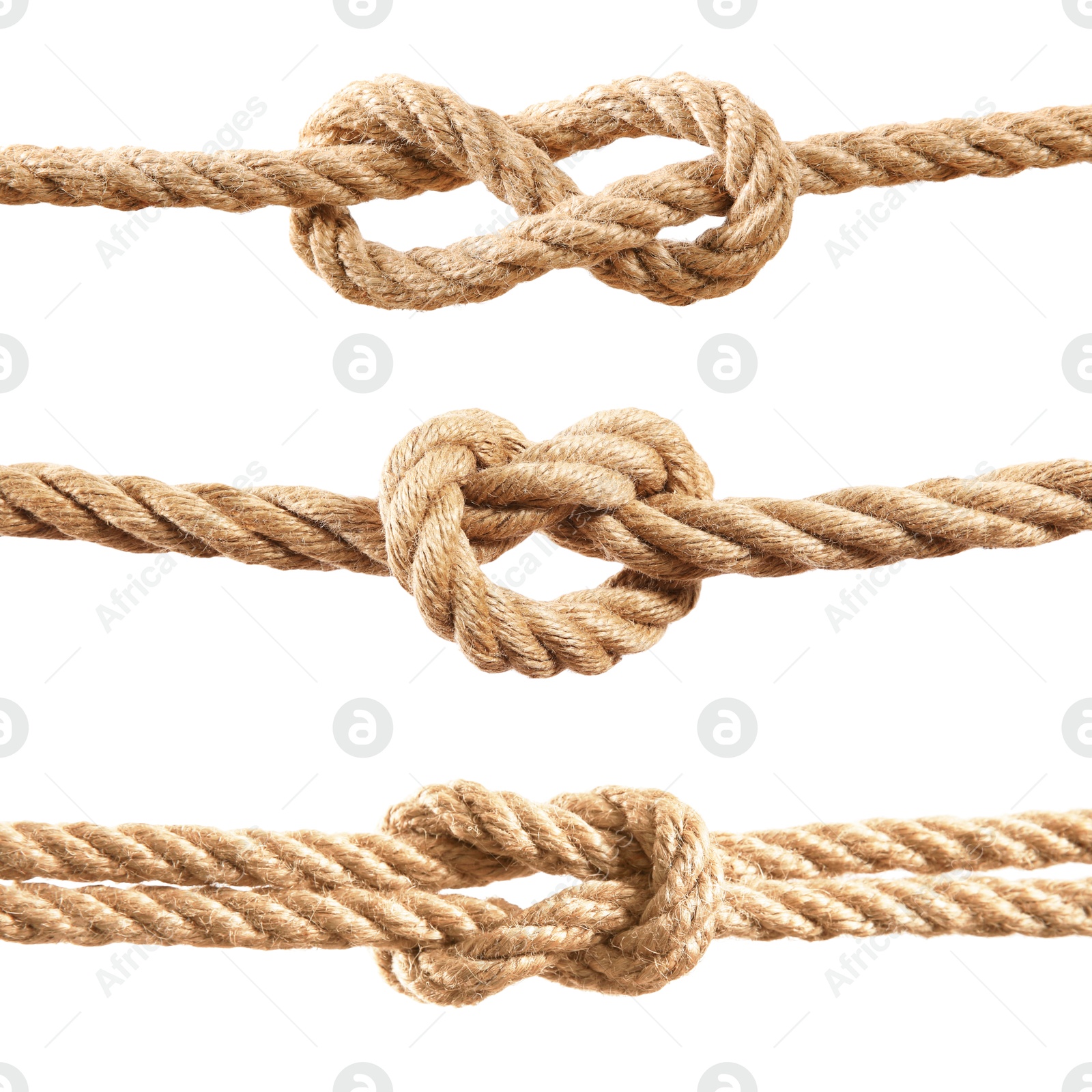 Image of Ropes with different knots isolated on white, set