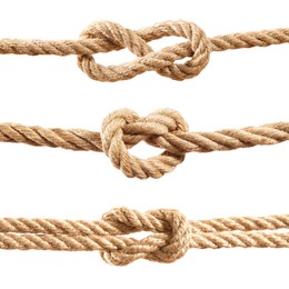 Image of Ropes with different knots isolated on white, set