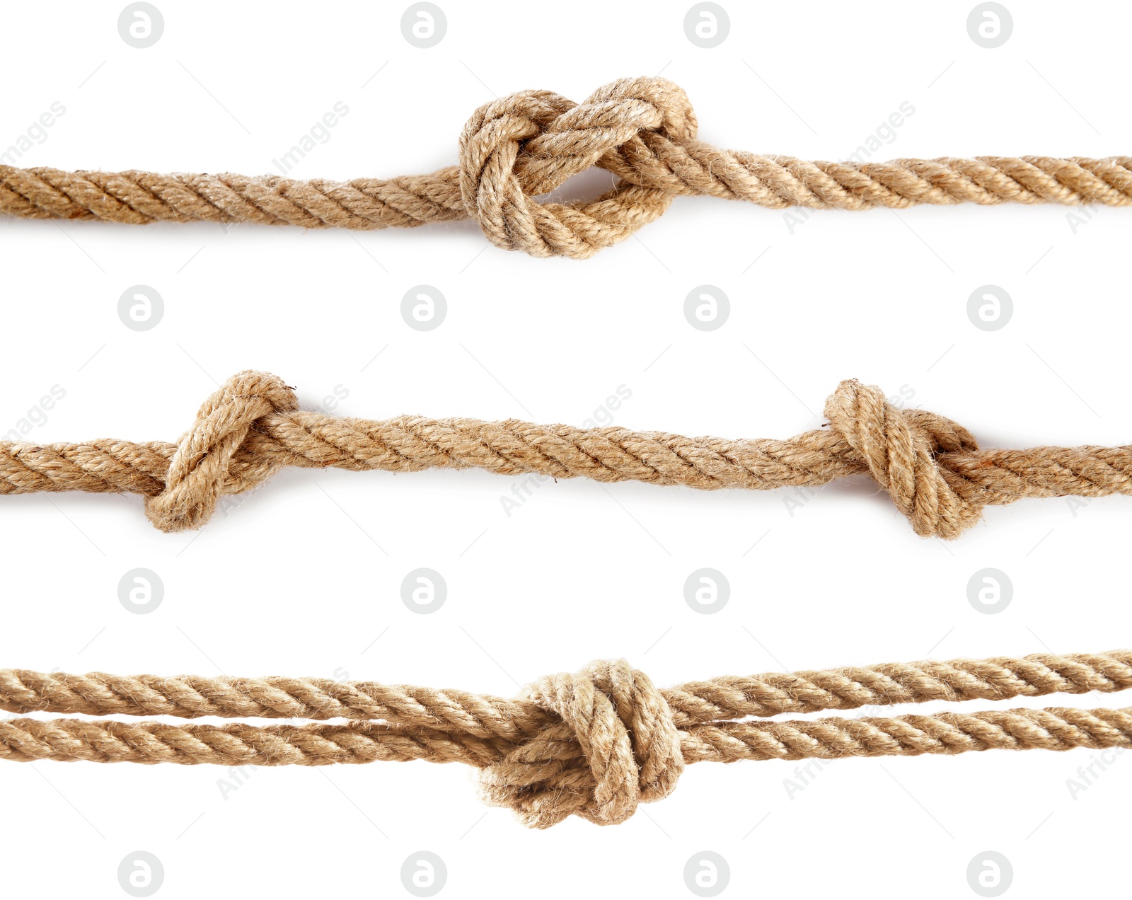 Image of Ropes with different knots isolated on white, set