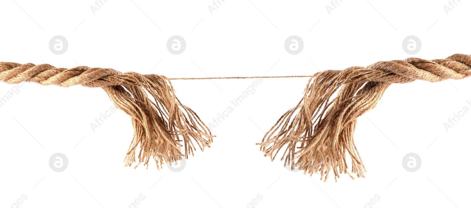 Image of One string connecting almost torn rope isolated on white