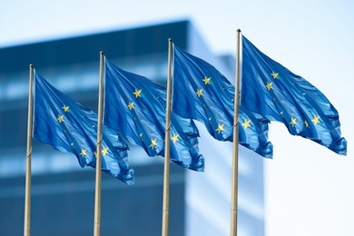 Image of Flags of European Union near building outdoors