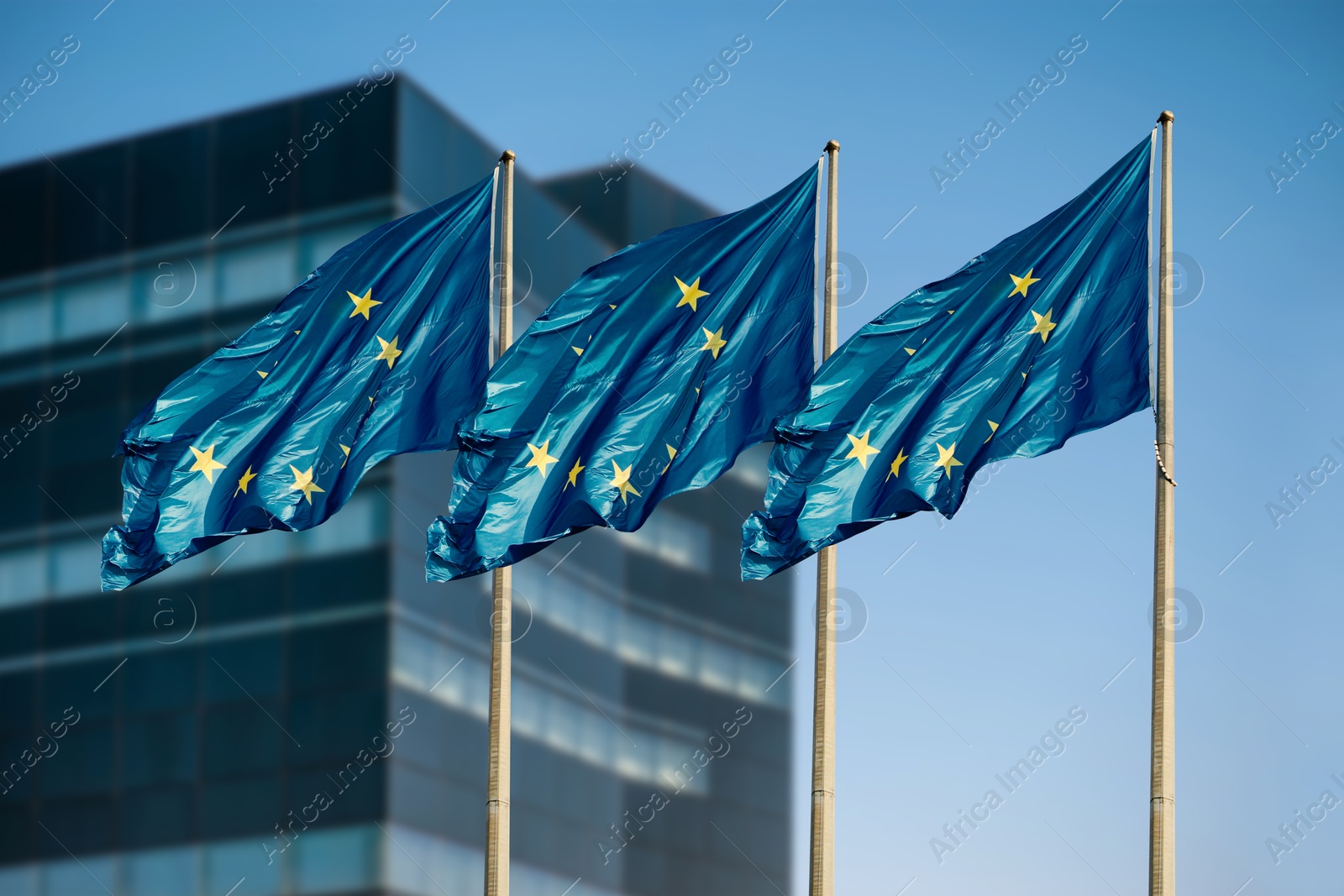 Image of Flags of European Union near building outdoors