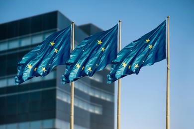 Flags of European Union near building outdoors