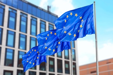 Image of Flags of European Union near building outdoors