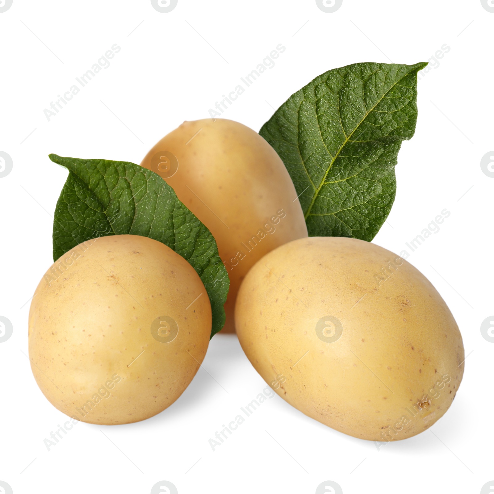 Image of Potatoes and green leaves isolated on white