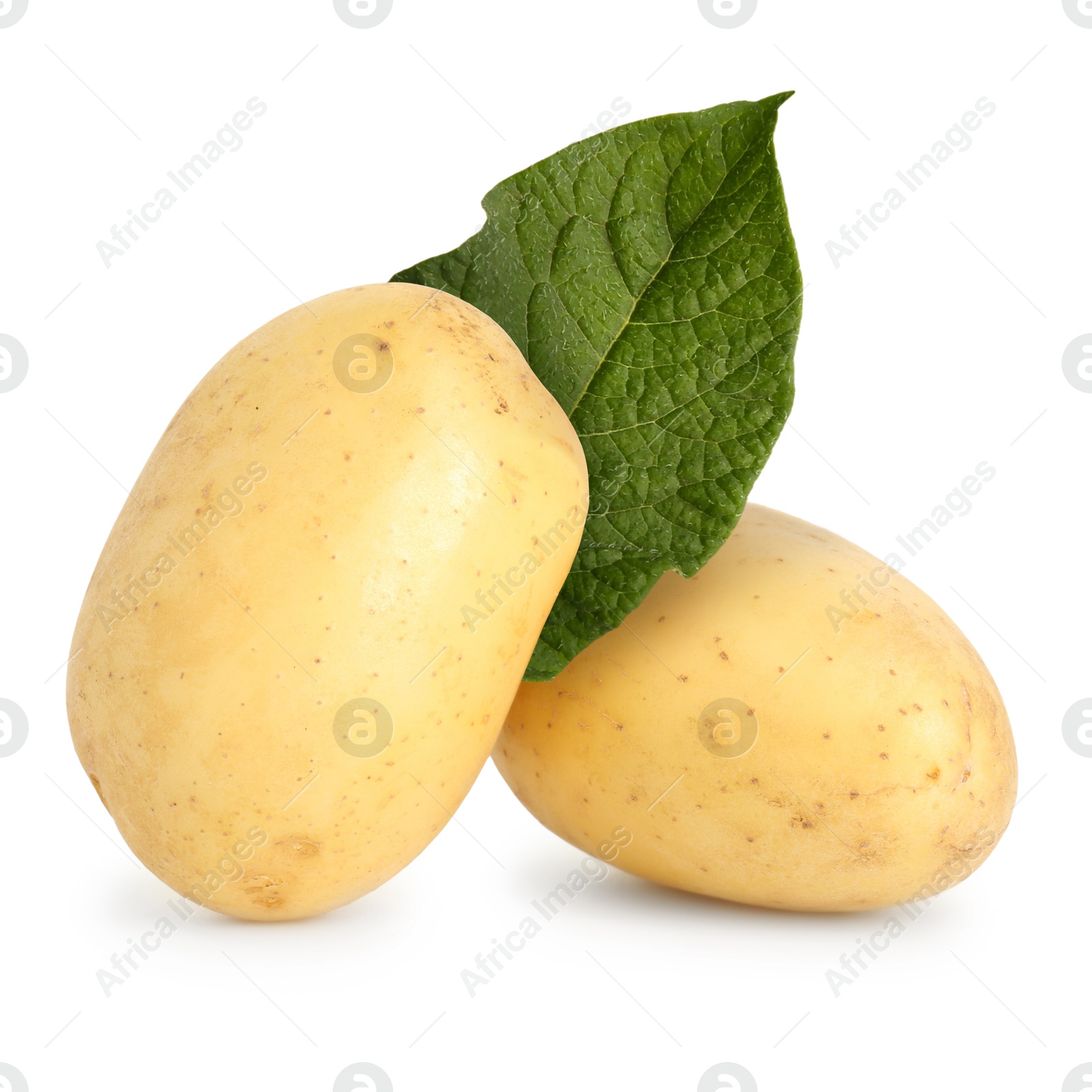 Image of Potatoes and green leaf isolated on white