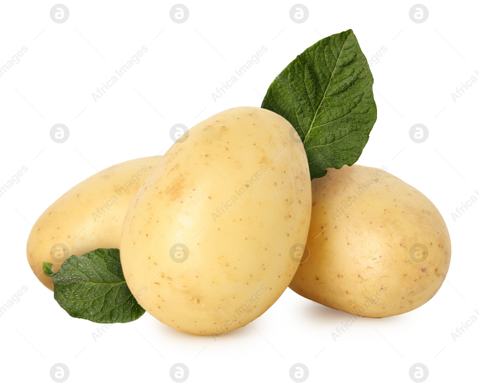 Image of Potatoes and green leaves isolated on white