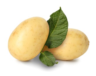 Potatoes and green leaves isolated on white