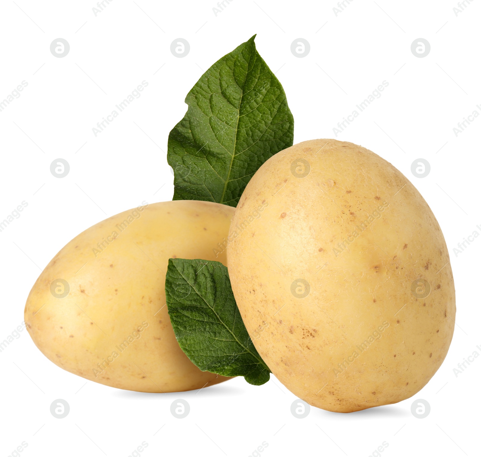 Image of Potatoes and green leaves isolated on white