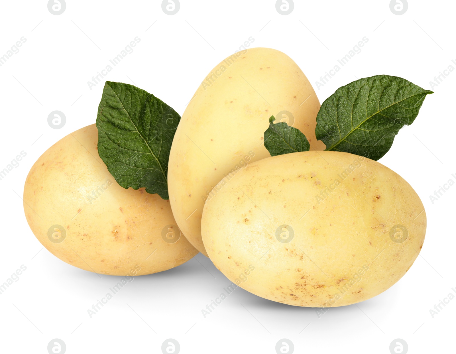 Image of Potatoes and green leaves isolated on white