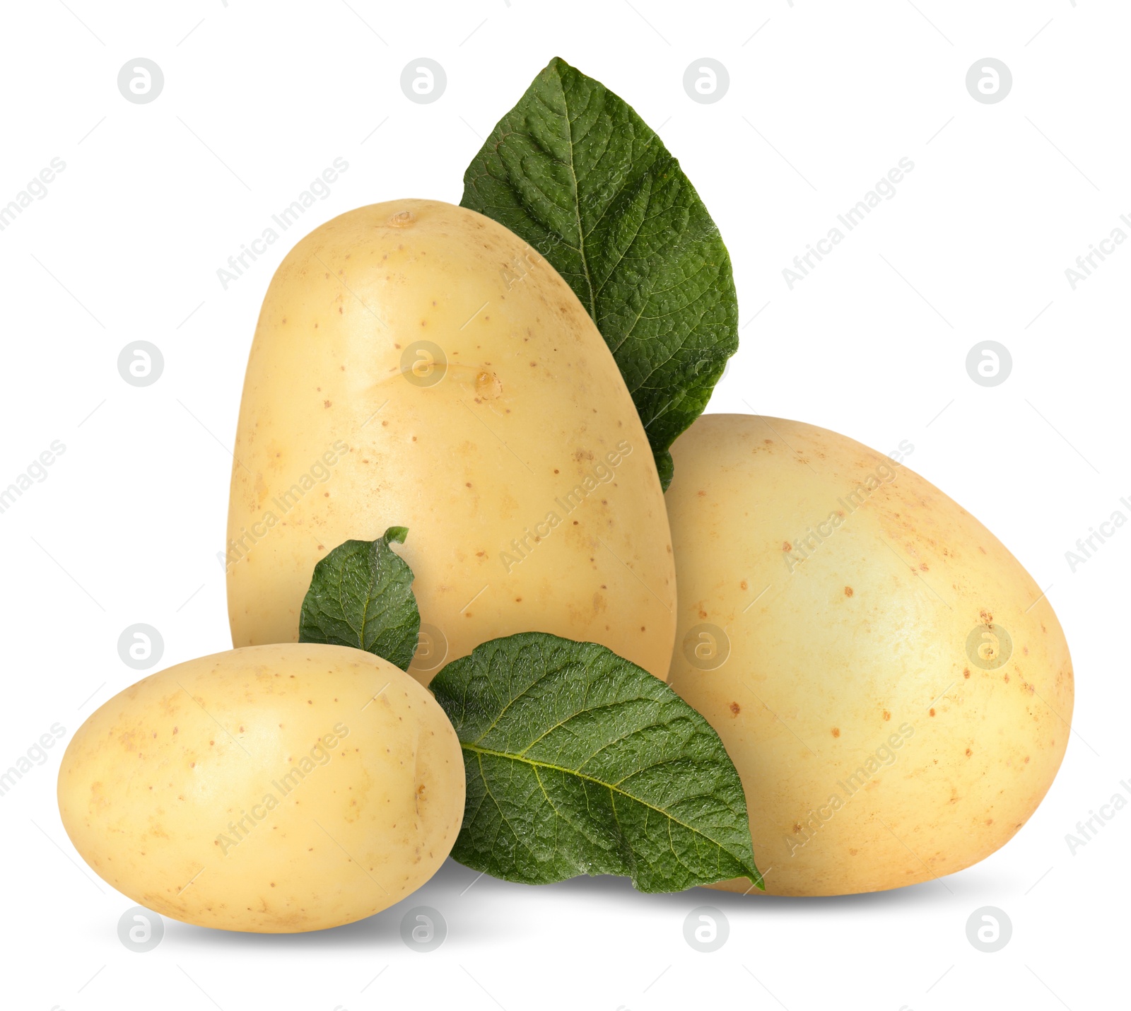 Image of Potatoes and green leaves isolated on white