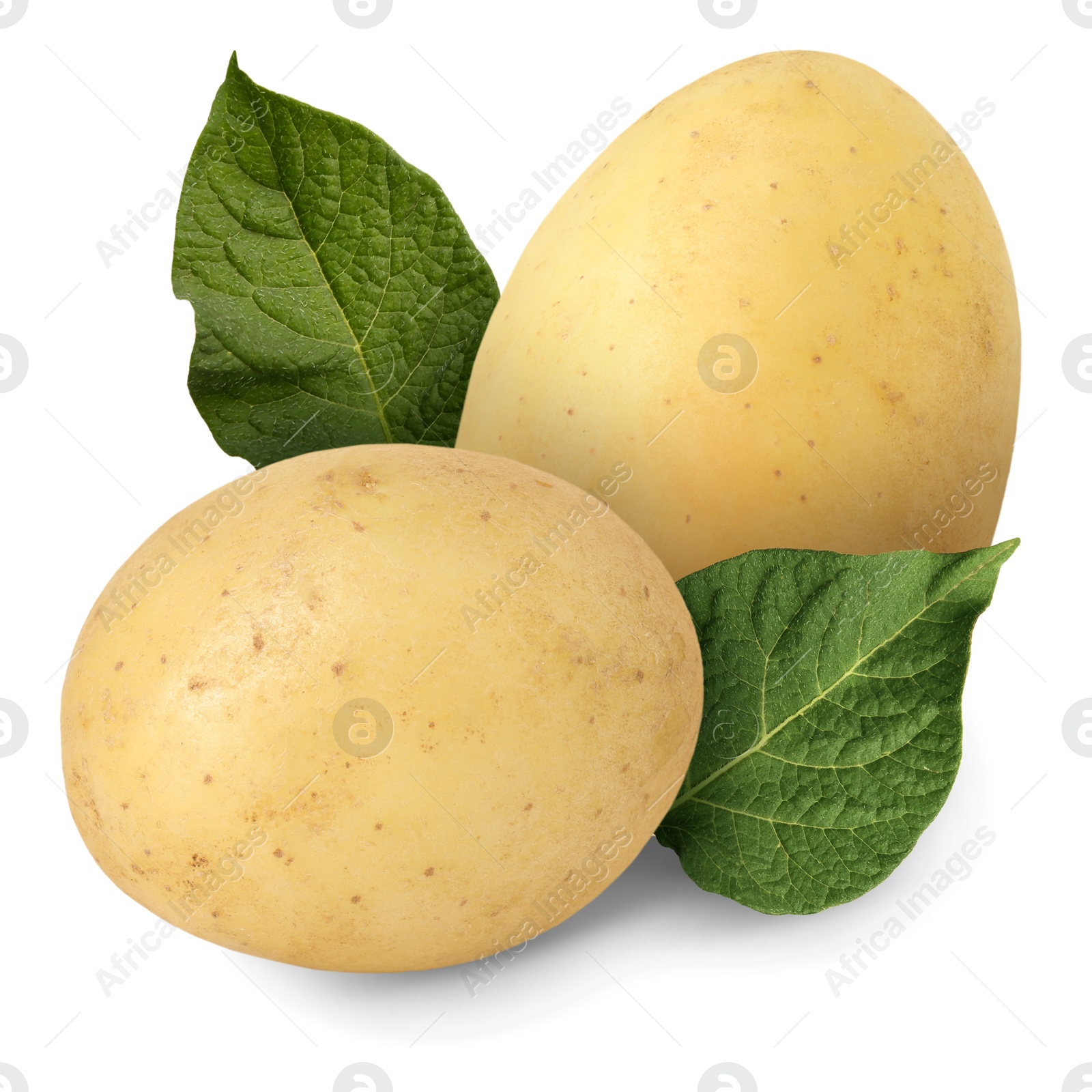 Image of Potatoes and green leaves isolated on white