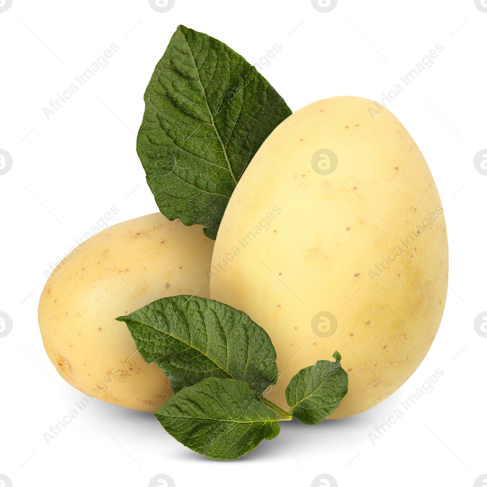 Image of Potatoes and green leaves isolated on white