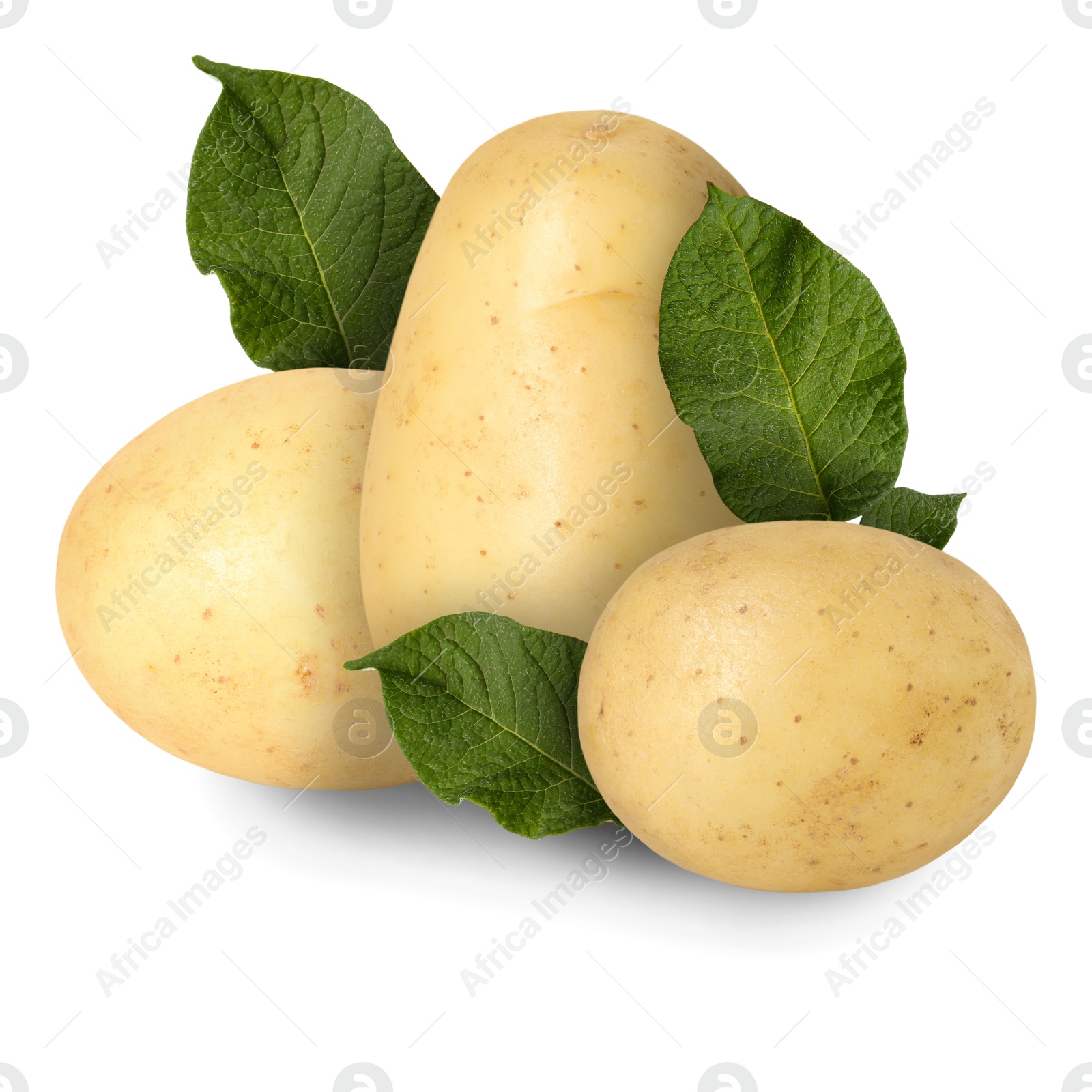 Image of Potatoes and green leaves isolated on white