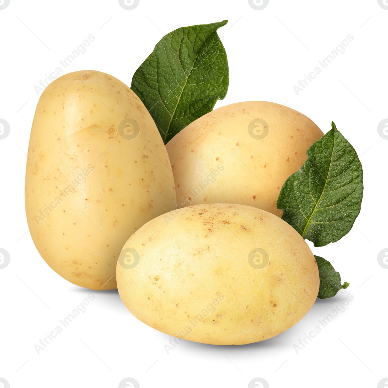 Image of Potatoes and green leaves isolated on white