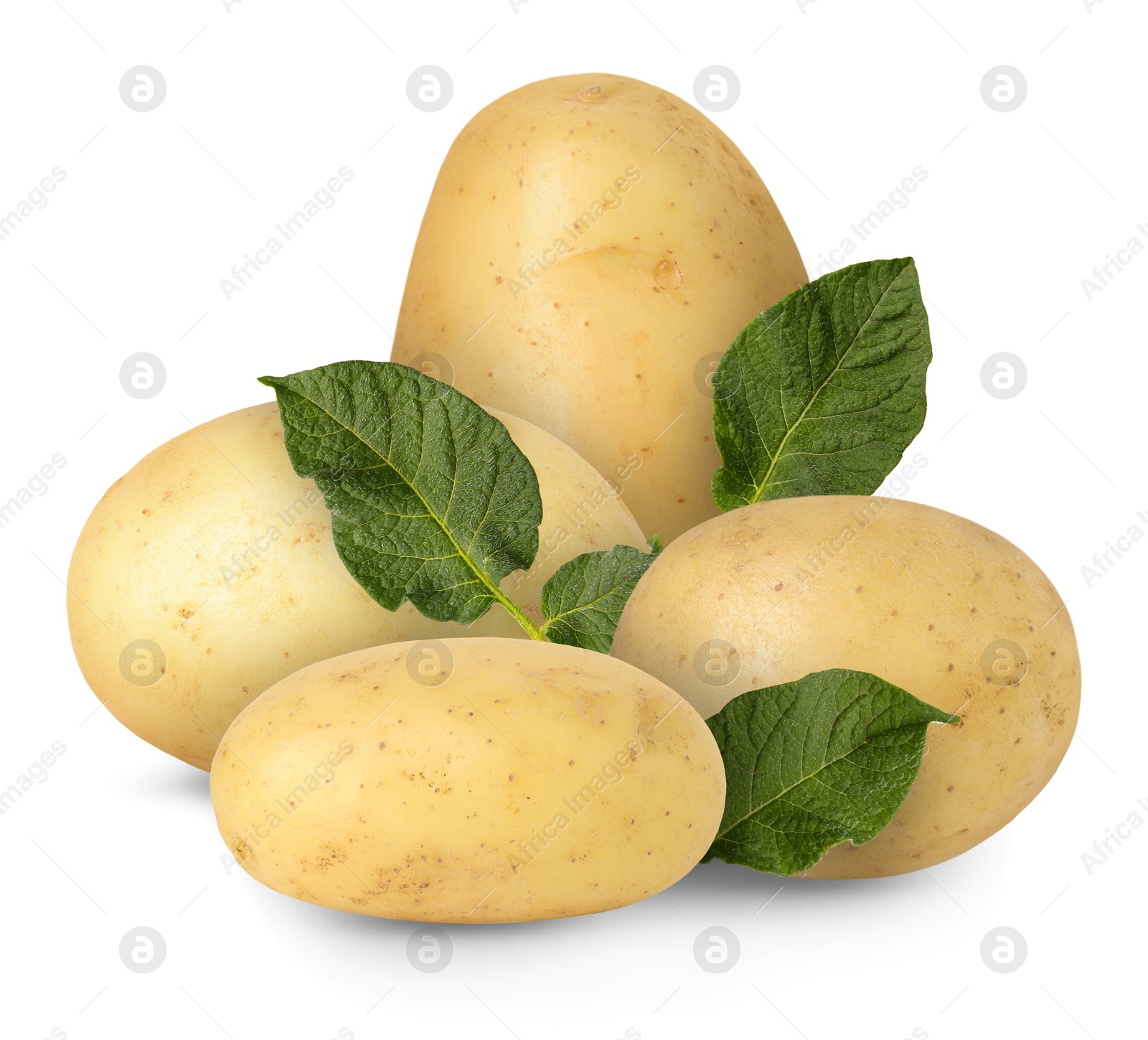 Image of Potatoes and green leaves isolated on white