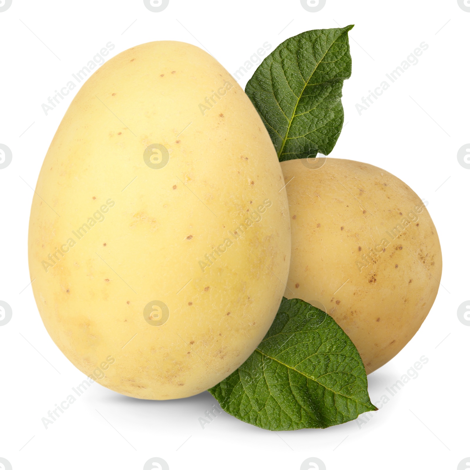 Image of Potatoes and green leaves isolated on white