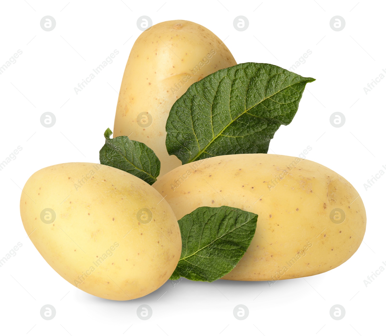 Image of Potatoes and green leaves isolated on white