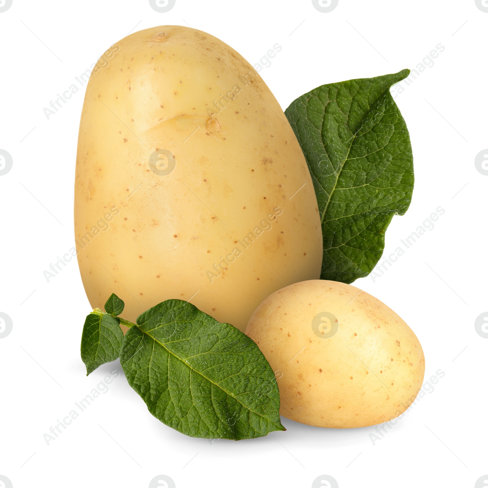 Image of Potatoes and green leaves isolated on white