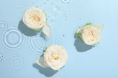 Photo of Beautiful rose flowers in water on light blue background, top view