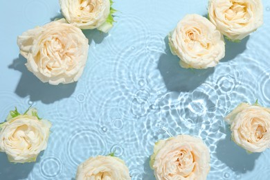 Beautiful rose flowers in water on light blue background, top view