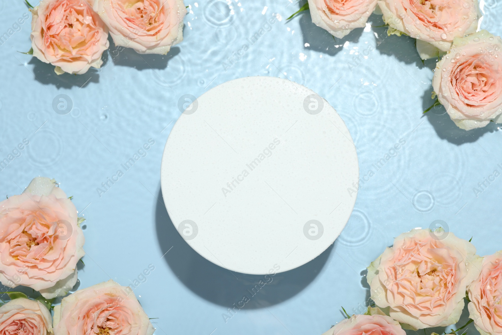 Photo of Beautiful rose flowers and round shaped podium in water on light blue background, flat lay