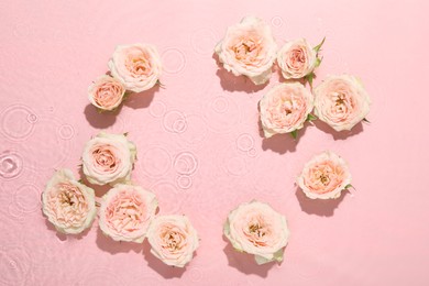 Photo of Beautiful rose flowers in water on pink background, top view. Space for text