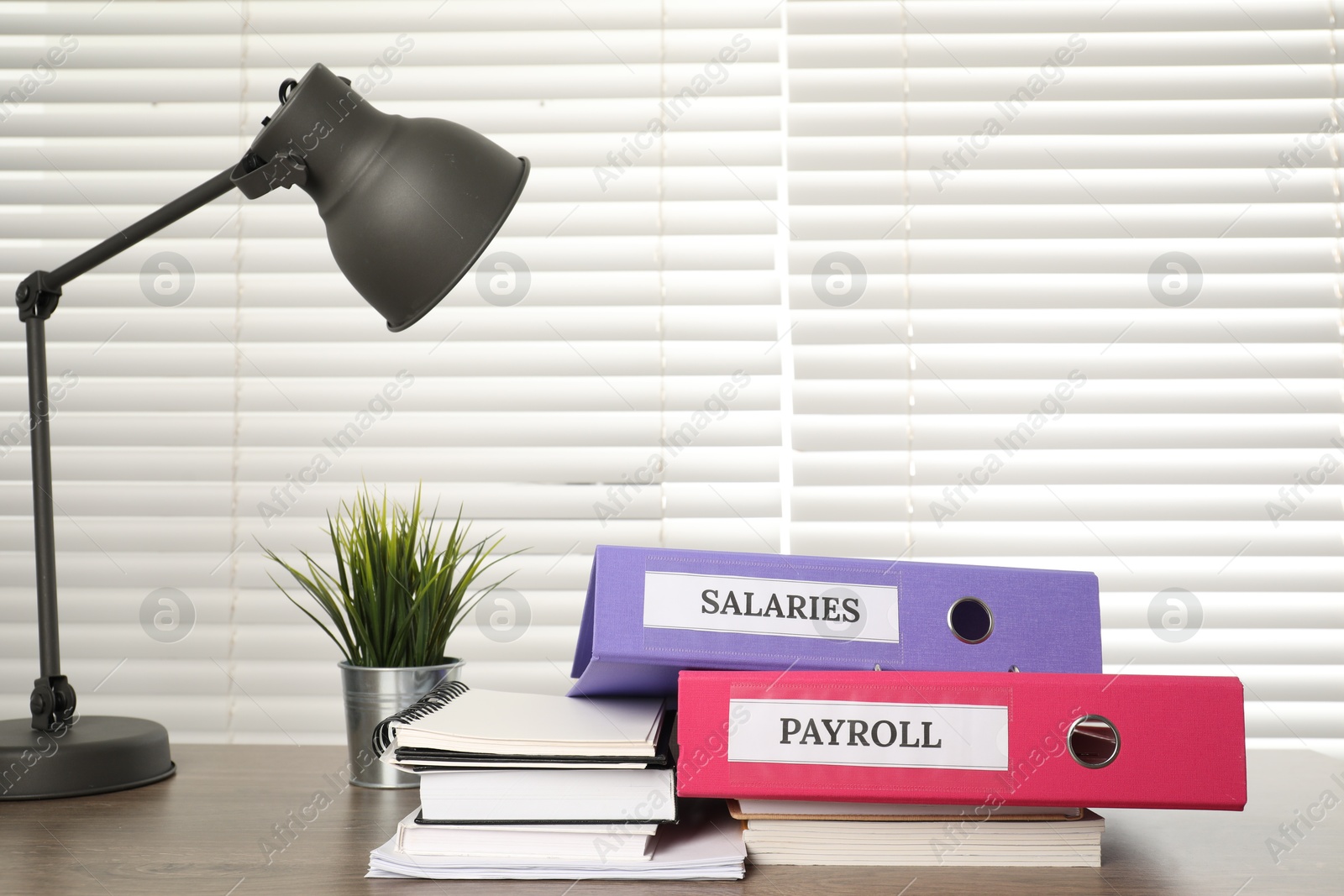 Photo of Office folders with words Payroll and Salaries, houseplant and stationery on wooden table. Space for text