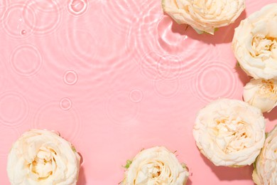 Photo of Beautiful rose flowers in water on pink background, top view. Space for text