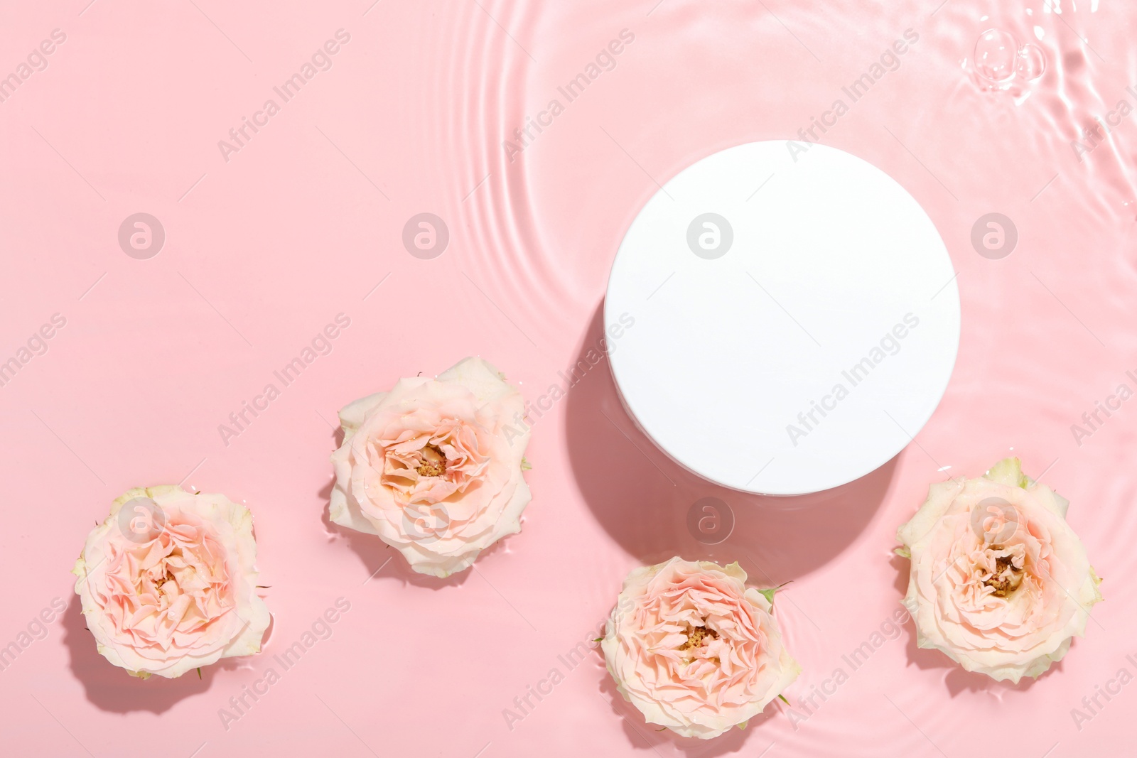 Photo of Beautiful rose flowers and round shaped podium in water on pink background, flat lay. Space for text