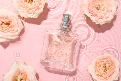 Beautiful rose flowers and perfume bottle in water on pink background, flat lay