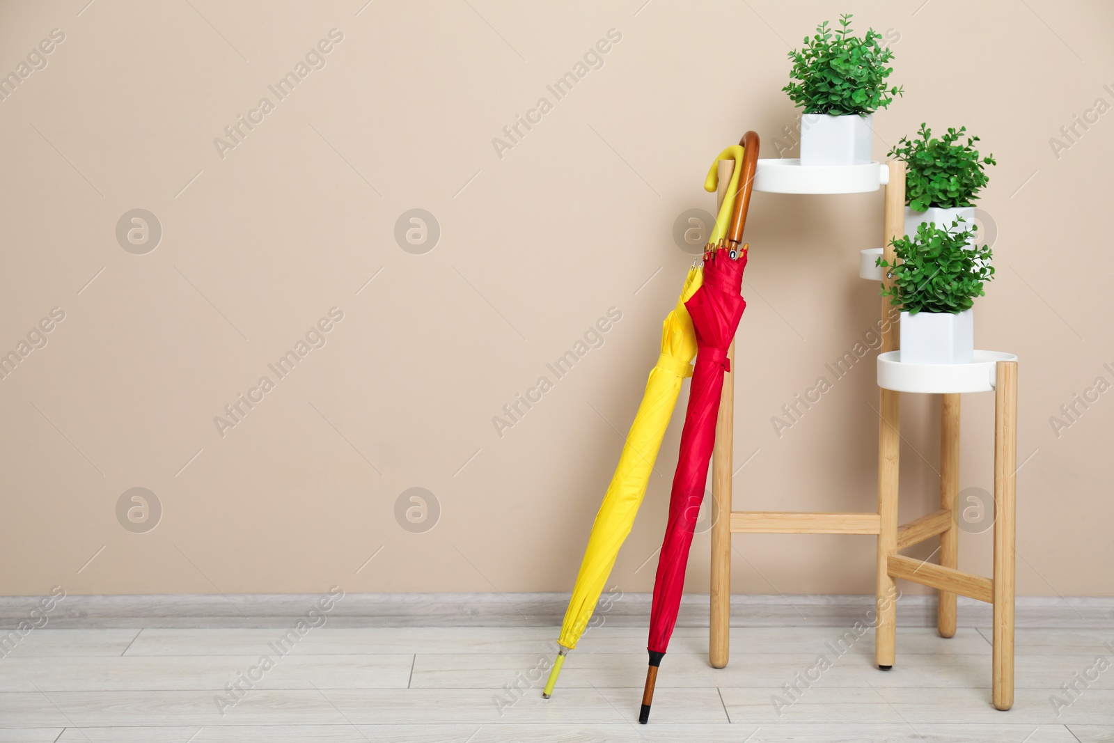 Photo of Colorful umbrellas and houseplants near beige wall, space for text